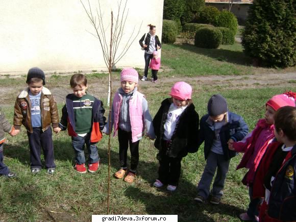 grupa mica rod bogat adunat