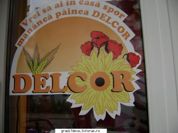 grupa mica multumim, delcor!