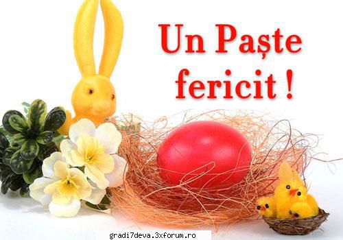 urare... paste fericit!