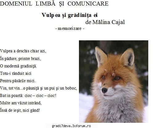 fluturasi