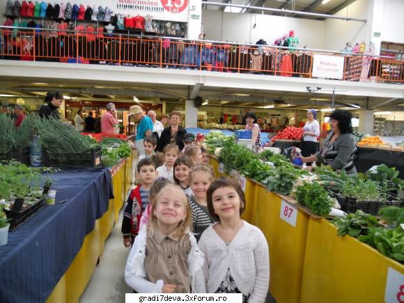 albinute vizita tematica piaţa central market din deva pentru observa legumele primavara.