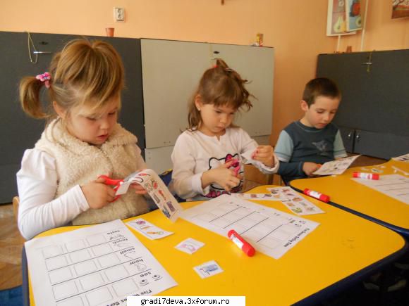 fluturasi sortarii imaginilor organelor simt" decupare, lipire