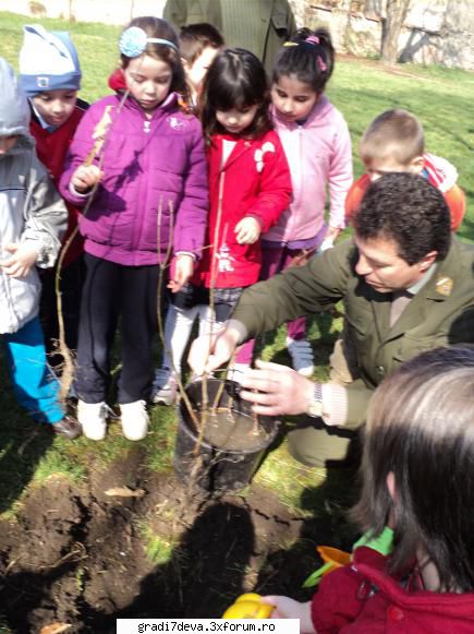 flori astazi plantat copacei parculetul gradinitei ajutati directiei silvice deva parinti.