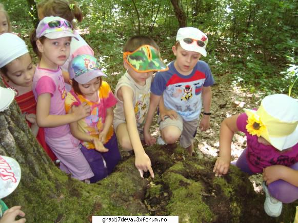 grupa facut expeditie prin padure...