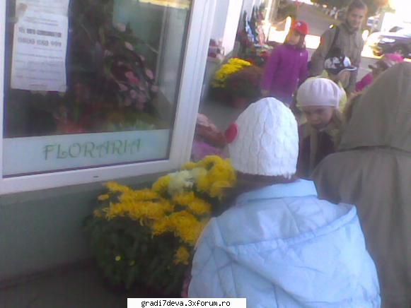 flori luni, octombrie 2011 fost vizita florarie.