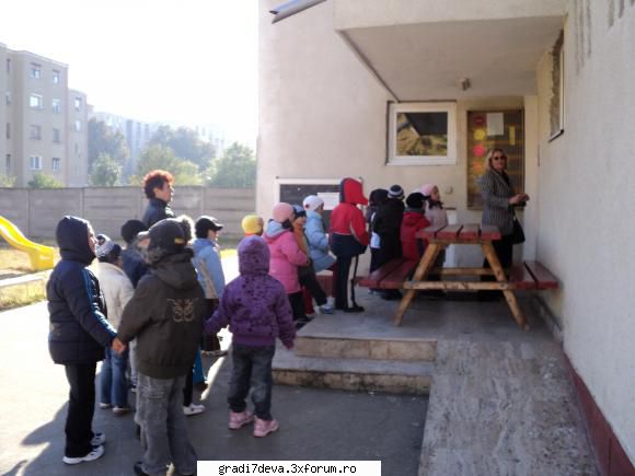 flori cadrul ��n toamnei� vizitat program normal nr. deva.