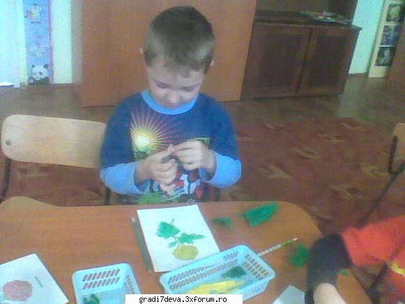 flori activitate practica: crizantema
